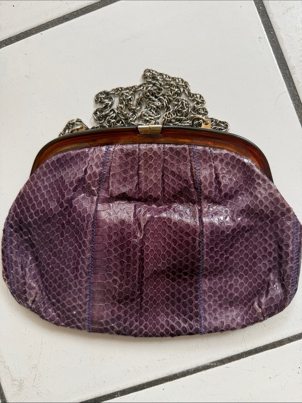 Plum Snakeskin Frame Clutch with Silver Chain